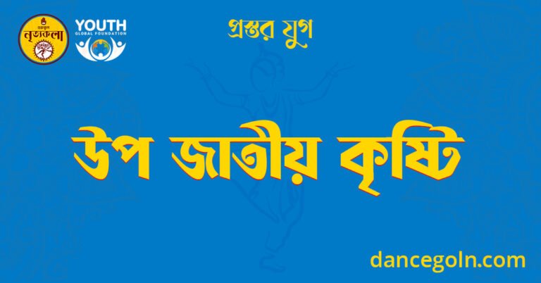 উপ জাতীয় কৃষ্টি