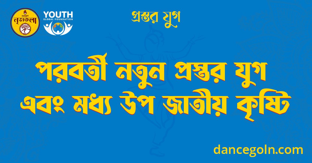 পরবর্তী নতুন প্রস্তর যুগ এবং মধ্য উপ জাতীয় কৃষ্টি